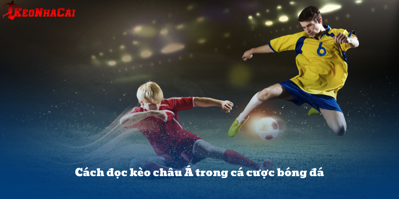 Hướng dẫn đọc tỷ lệ kèo châu Á – hiểu rõ ý nghĩa từng mức chấp giúp tăng cơ hội thắng kèo.