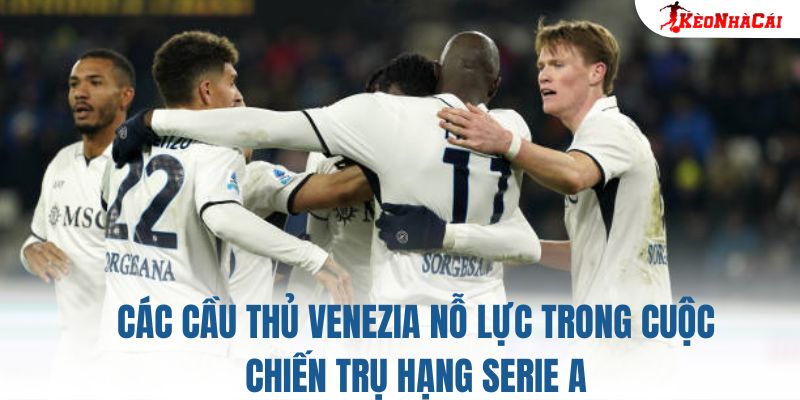 Các cầu thủ Venezia nỗ lực trong cuộc chiến trụ hạng Serie A