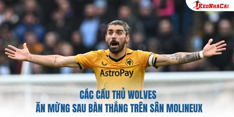 Các cầu thủ Wolves ăn mừng sau bàn thắng trên sân Molineux
