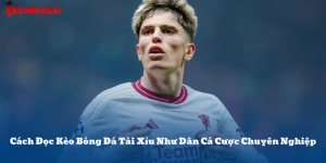 Cách Đọc Kèo Bóng Đá Tài Xỉu Chuẩn Như Dân Chuyên