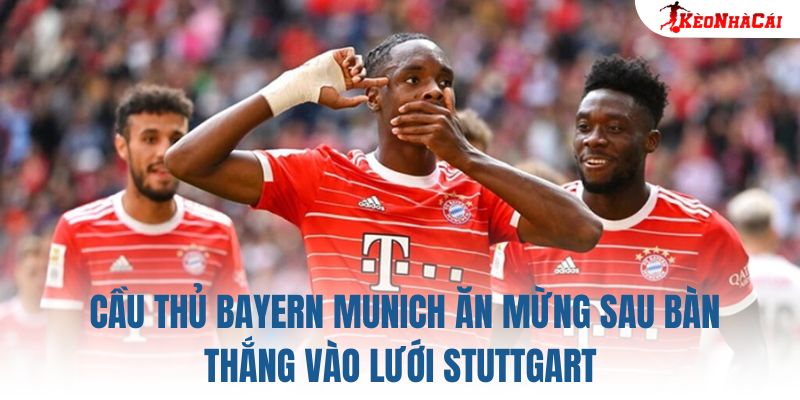 Cầu thủ Bayern Munich ăn mừng sau bàn thắng vào lưới Stuttgart