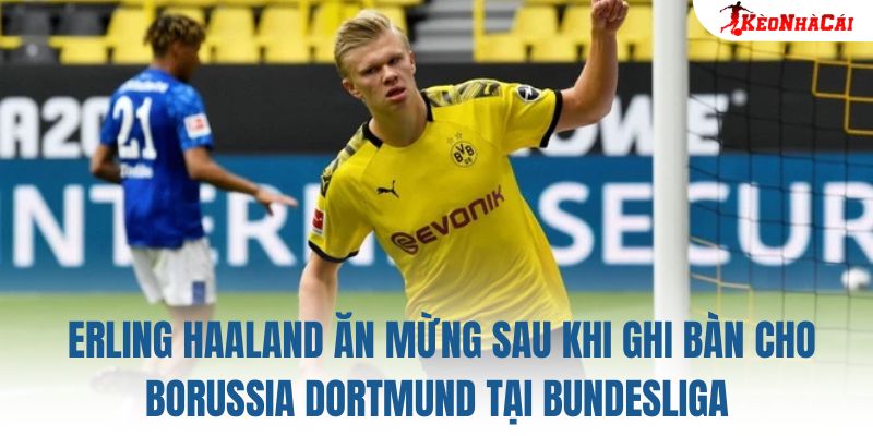 Erling Haaland ăn mừng sau khi ghi bàn cho Borussia Dortmund tại Bundesliga