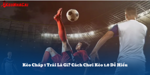 Kèo Chấp 1 Trái Là Gì? Cách Chơi Kèo 1.0 Dễ Hiểu