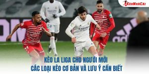 Kèo La Liga Cho Người Mới: Các Loại Kèo Cơ Bản Và Lưu Ý Cần Biết