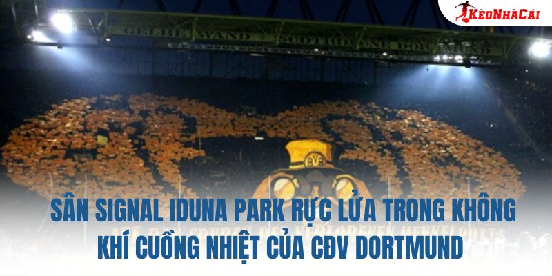 Sân Signal Iduna Park rực lửa trong không khí cuồng nhiệt của CĐV Dortmund